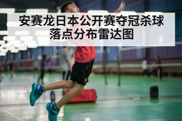 安赛龙日本公开赛夺冠杀球落点分布雷达图