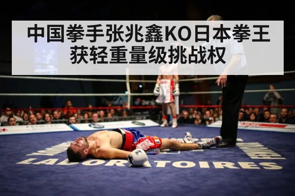 boxer knockout